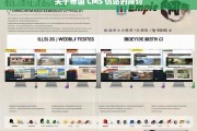 关于帝国 CMS 仿站的探讨，帝国 CMS 仿站之探讨