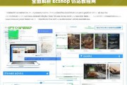 全面解析 Ecshop 仿站教程网，Ecshop 仿站教程网全面解析