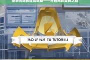 老李仿站教程高级版——开启网站复制之路，老李仿站教程高级版，开启网站复制之旅