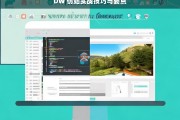 DW 仿站实战技巧与要点，DW 仿站实战，技巧与要点解析