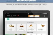 如何在Shopify独立站上成功运营高仿产品，策略与风险分析