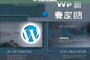 WP 仿站的全面解析，WP 仿站全面解析