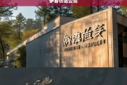 伊春仿站公司，专业网站建设与仿制服务