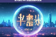 深入探究 net 仿站的奥秘与实践，net 仿站，奥秘与实践探究