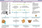 仿牌独立站商品上传全攻略，从选品到优化的完整流程解析