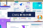 动易 CMS 仿站教程全解析，动易 CMS 仿站教程全面解读