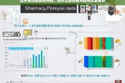 山东省仿站费用解析，预算规划与优质服务选择指南