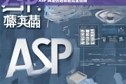 ASP 网站仿站教程完全指南，ASP 网站仿站教程指南