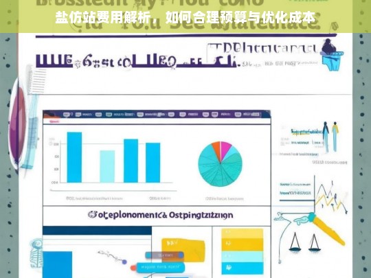 盐仿站费用解析，如何合理预算与优化成本