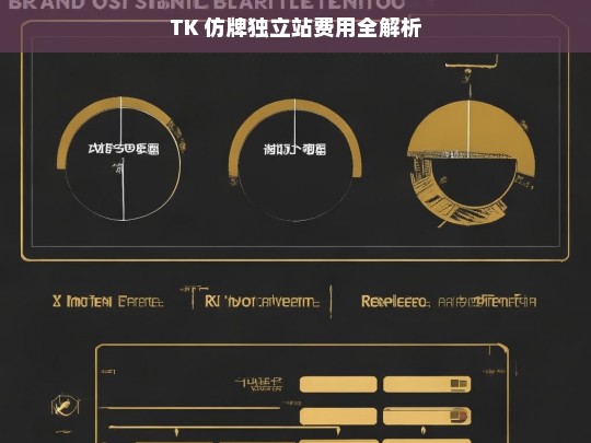 TK 仿牌独立站费用全解析