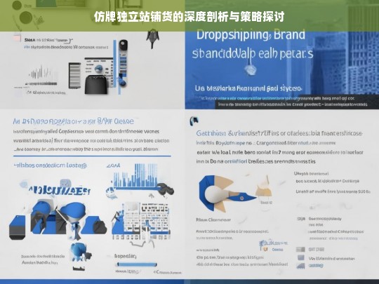 仿牌独立站铺货的深度剖析与策略探讨
