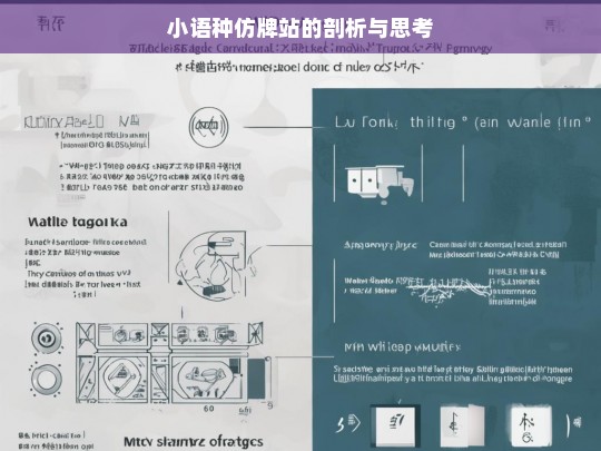 小语种仿牌站的剖析与思考