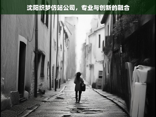 沈阳织梦仿站公司，专业与创新的融合