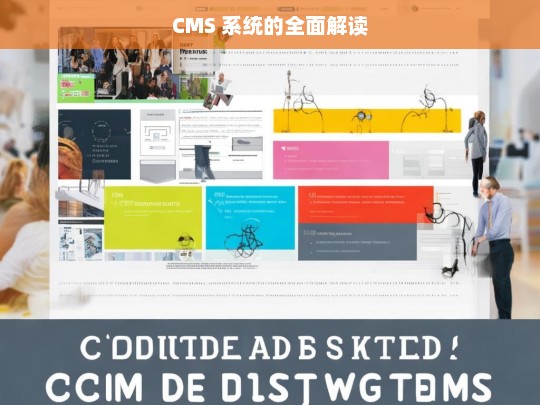 CMS 系统的全面解读